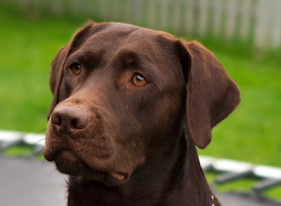 Illustrative photo used for the fictional Cooper profile