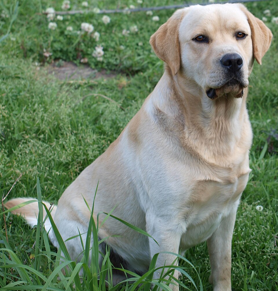 Illustrative photo used for the fictional Ruby profile